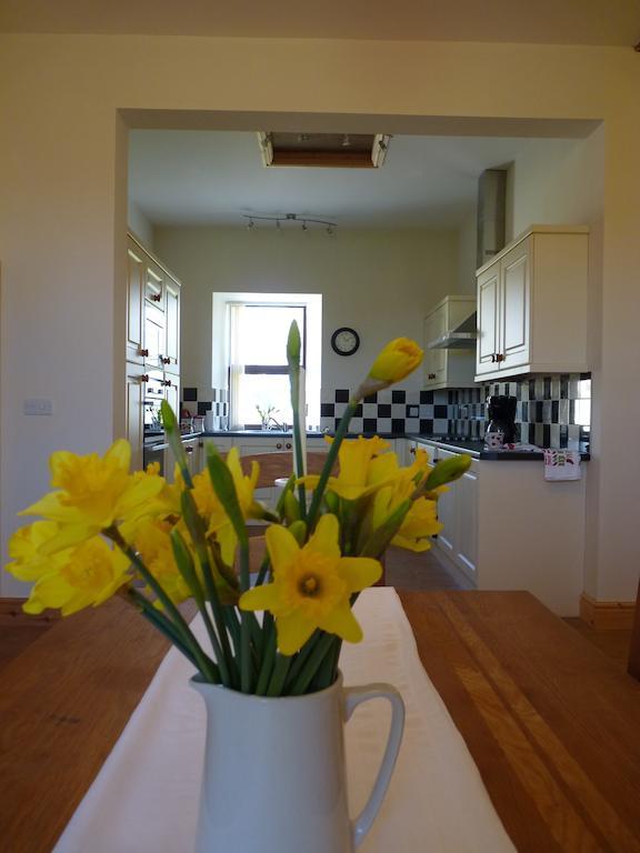 Old Police House Bed & Breakfast Haverfordwest Dış mekan fotoğraf